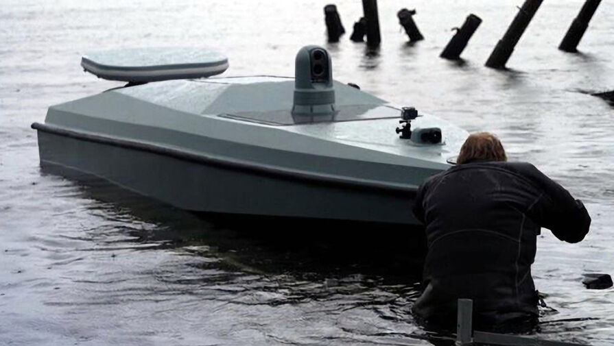 В России разрабатывается новая линейка морских беспилотников