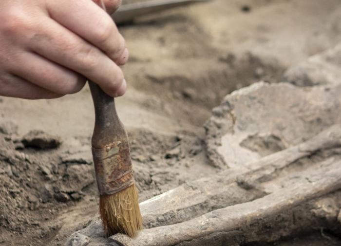 Antiquity: в Ирландии найдена неолитическая дорога мёртвых
