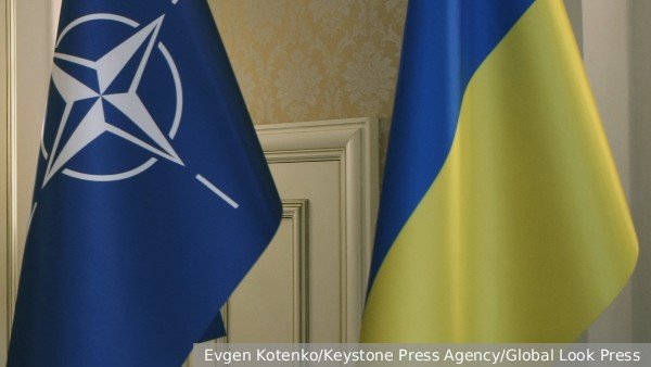 Президент Чехии Павел сообщил об отсутствии у НАТО планов предлагать Украине членство на саммите в Вашингтоне